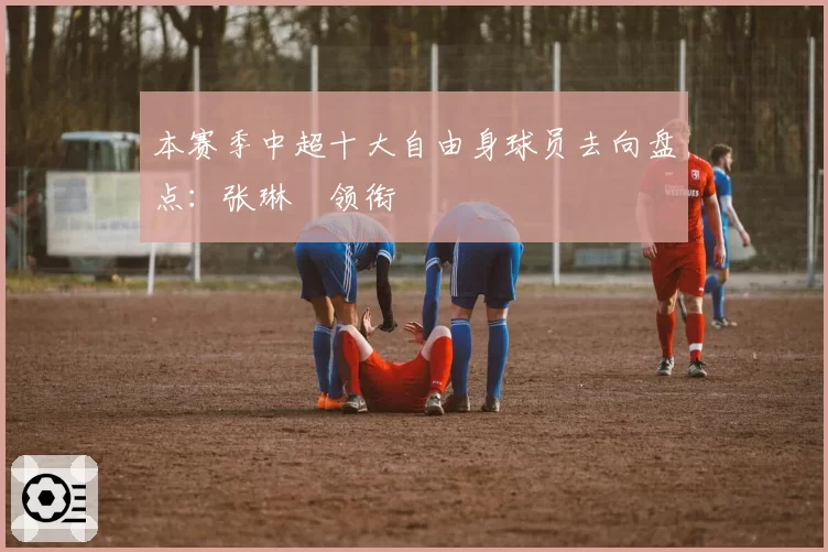 本赛季中超十大自由身球员去向盘点:张琳芃领衔