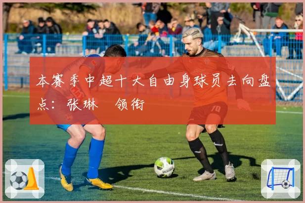 本赛季中超十大自由身球员去向盘点:张琳芃领衔
